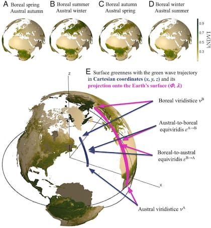 Ciclo estacional medio de un índice de vegetación observado desde el espacio y trayectoria del centroide derivada
