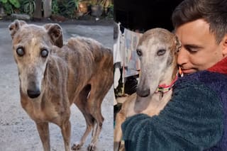 Vivía en la calle con una enfermedad que le impedía ver, pero una segunda oportunidad cambió su vida