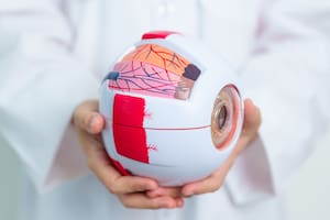 Científicos argentinos usan IA para la detección precoz de enfermedades de la vista