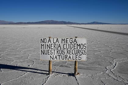 Científicos consultados destacaron que la premura con la que avanza este desarrollo puede derivar en flexibilización de las regulaciones y después, en impactos fatales para el ambiente y para la población