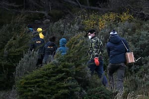 Empiezan a relevar Ushuaia en busca del origen del brote de hantavirus en un crucero