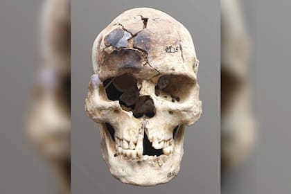 Durante las excavaciones, se encontraron cráneos quemados y numerosos cuerpos en posición de cuclillas
