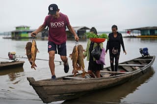Científicos descubren que el cambio climático reduce el oxígeno en ríos de todo el mundo