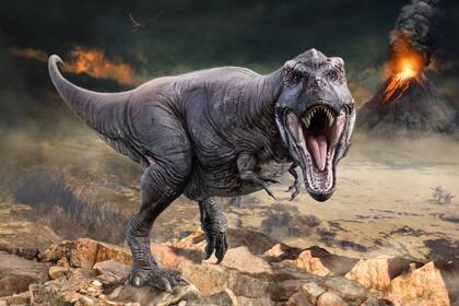 Científicos descubrieron que los mamíferos ya eran terrestres antes de que se extinguieran los dinosaurios.