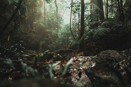 Científicos hallan un cráter submarino de 8 km de ancho que podría relacionarse con la extinción; las imágenes son solo ilustrativas