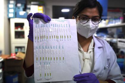 Científicos indios desarrollaron un test rápido, fiable y barato