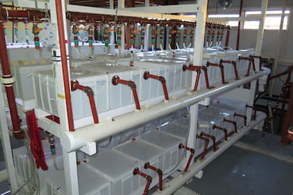 Instalaciones del acuario del CADIC, donde nacen las larvas de centolla