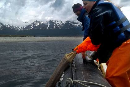 Federico Tapella, y Paula Sotelano, investigadores del CONICET, disponiendo las bolsas en el Canal Beagle