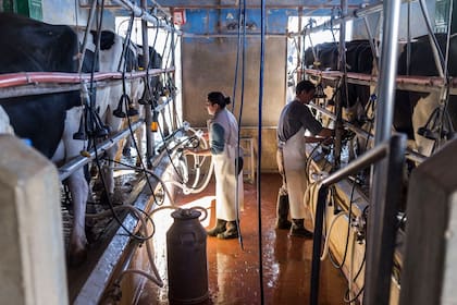 Cientos de tambos están cerrando sus puertas por la crisis que afecta al sector