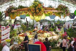 Tres planes con chicos. Un desfile de carruajes, un cyber de videojuegos y un restaurante con juegos