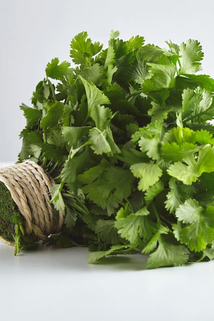Cilantro: una hierba aromática con múltiples beneficios nutricionales