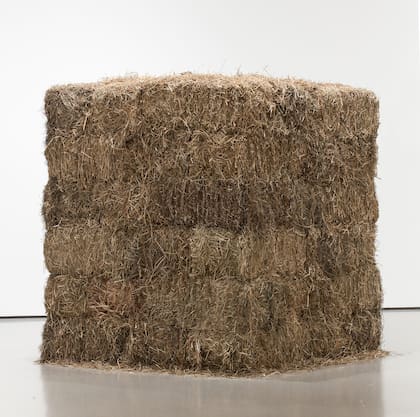 Cildo Meireles. Fio (Hilo), 1990-95. Donación de Patricia Phelps de Cisneros. © Cildo Meireles