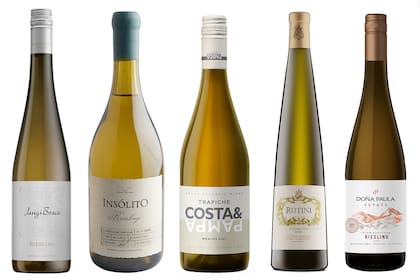 Cinco etiquetas de grandes Riesling argentinos