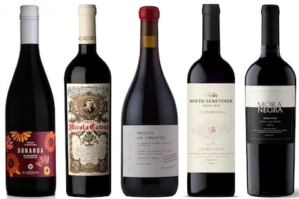 Cinco etiquetas que dan cuenta de la alta gama de Bonarda