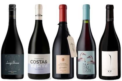 Cinco grandes Pinot Noir, con precios que arrancan en los 1600 pesos