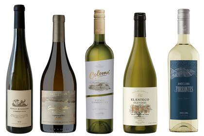 Cinco grandes y modernos torronteses