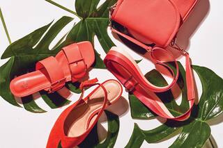 Carteras y calzado. ¿Cuál preferís?