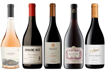 Cinco Pinot Noir de súper alta gama