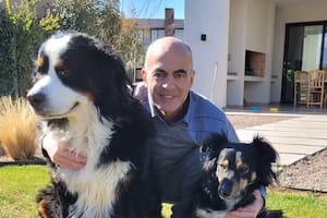 Cinco pitbulls atacaron a un reconocido neurocirujano en Mendoza mientras corría