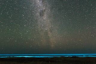 Cinco playas secretas de Uruguay para disfrutar el verano en contacto con la naturaleza
