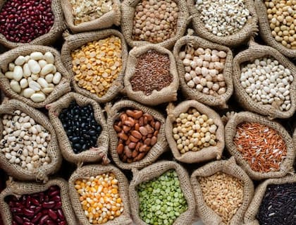 Cinco razones para adoptar la dieta nórdica: beneficios para el corazón, el cerebro y el control del peso