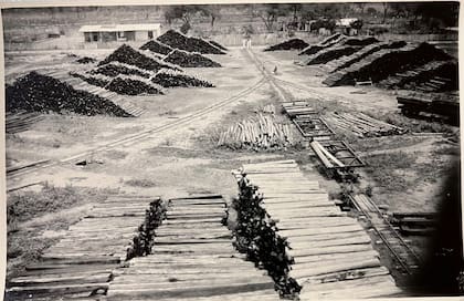 Circa 1930. Acopio de durmientes en el obraje del Chaco Santiagueño: con ellos se construyó el tendido del ferrocarril de todo el Norte argentino