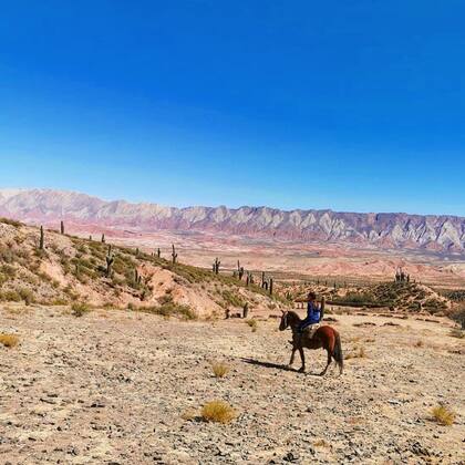 Circuito Coplas Norteñas.