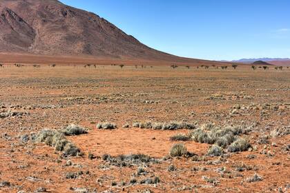 Círculos de hadas, ubicados en el desierto de Namibia