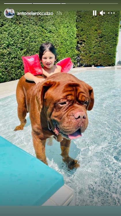Ciro acariciando a Hulk en la pileta de su casa en España
