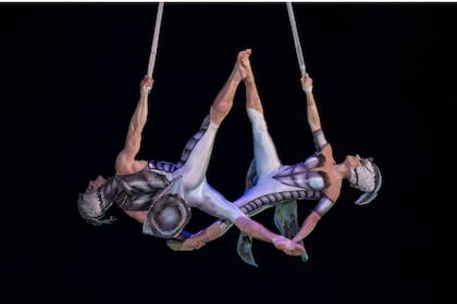 OVO es una creación de la coreógrafa brasileña Deborah Colker