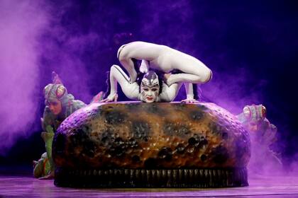 OVO: la nueva y excelente propuesta del Cirque que late al ritmo de la música brasileña 