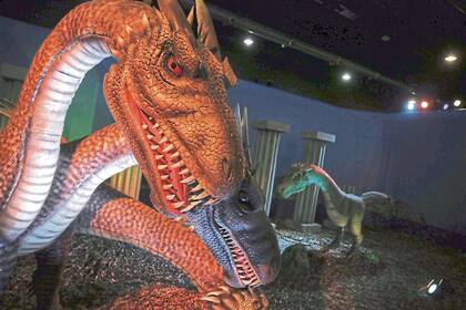 Ciruelo dice que es la muestra más grande que hizo en el mundo