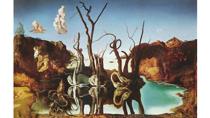 Salvador Dalí i Domènech nació en Figueres el 11 de mayo de 1904 y murió en la misma ciudad el 23 de enero de 1989