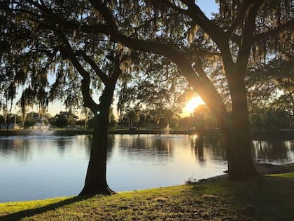 La ciudad de Ocala es ideal para quienes disfrutan de la naturaleza