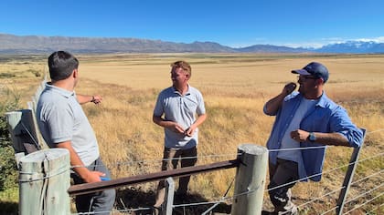 Ciurlanti, Zuber y Coggiola, en uno de los cuadros mas prometedores