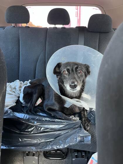 Clarita en uno de sus viajes a la sesión de fisioterapia.