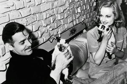 Clark Gable falleció a los 59 años. Su último deseo fue ser enterrado junto a Carole, el gran amor de su vida