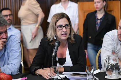 Claudia Neira, presidenta del bloque Fuerza por Buenos Aires (PJ) en la Legislatura porteña