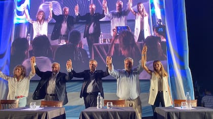 Claudia Rucci, Juan Carlos Romero, Miguel Pichetto, Joaquín de la Torre y Catalina Buitrago
