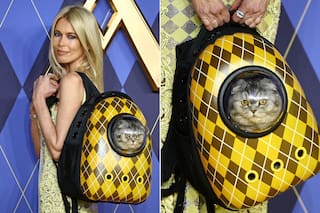 Del glamoroso paseo de Claudia Schiffer y su gato "encapsulado" al osado look de Kylie Jenner