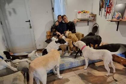 Claudia y Tatiana ya lograron más de 70 adopciones para animales que rescataron