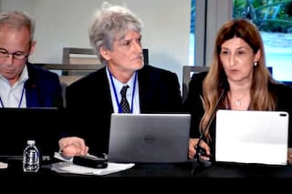 La CIDH ofreció visitar la Argentina por las denuncias de agresiones a periodistas