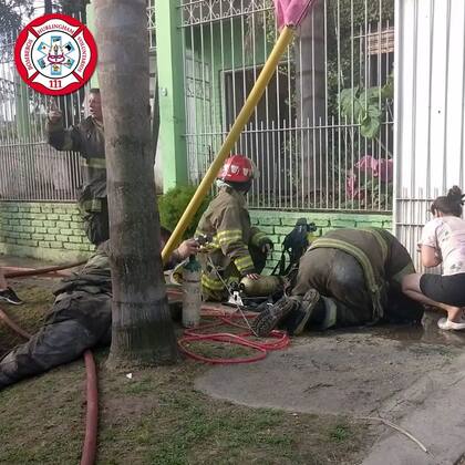 Claudio recostó al animal y le aplicó técnicas de RCP; sus compañeros y los vecinos lo ayudaron