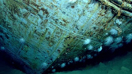 Clave en el conflicto en el Pacífico, el navío se hundió el 7 de junio de 1942 a unos 320 km al noreste de Midway (créditos: National Oceanic and Atmospheric Administration)