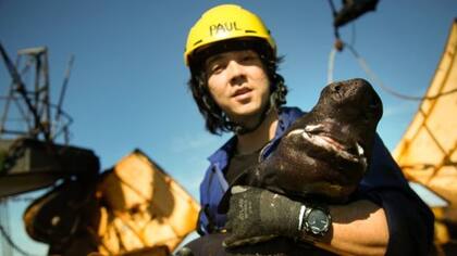 Clerkin trabaja ahora en la descripción científica de las 15 nuevas especies que ha descubierto