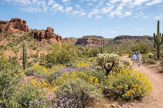 Clima en Phoenix, Arizona hoy: cuál es el pronóstico del tiempo para hoy 20 de abril