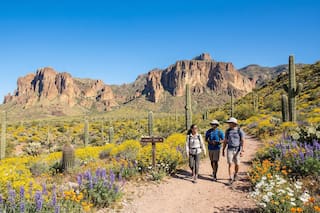 Clima en Tucson, Arizona hoy: cuál es el pronóstico del tiempo para hoy 27 de abril