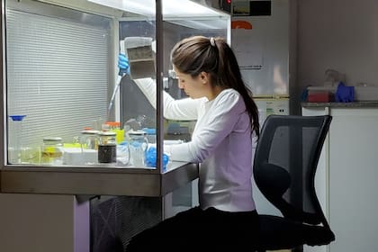 En la Argentina hay dos de los cinco laboratorios del mundo enfocados en la clonación embrionaria.