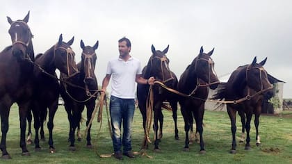 Clones de Cuartetera, la yegua preferida de Adolfo Cambiaso