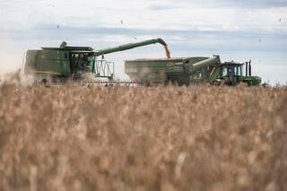 Opinión. La agroindustria necesita señales positivas, no incertidumbre y miedo
